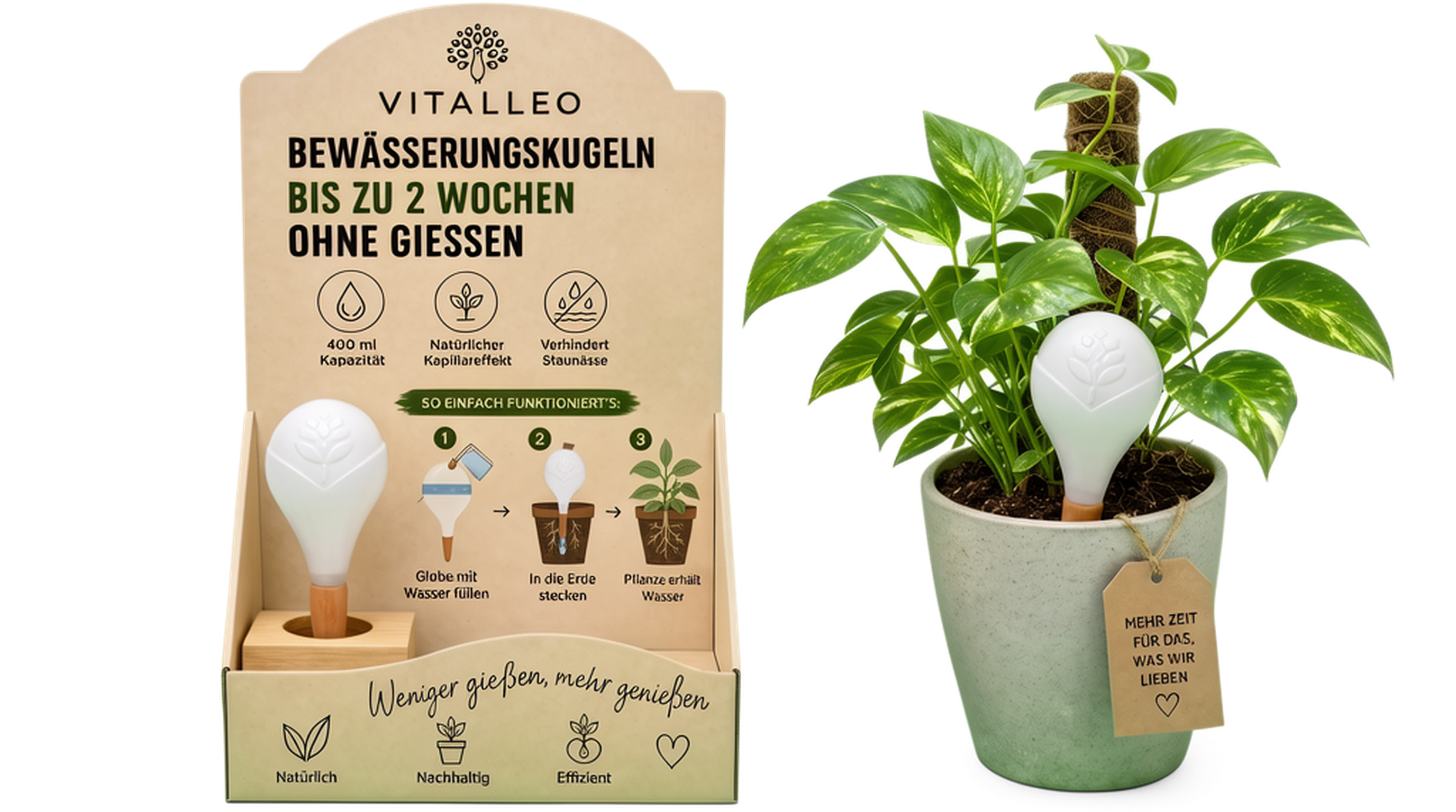 Vitalleo Verkaufs-Aufsteller mit Pflanze